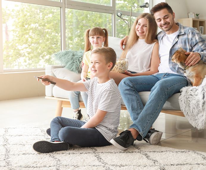 Scotchgard Protection